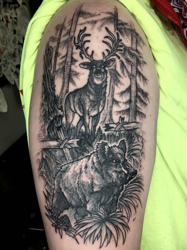 Stag and Boar