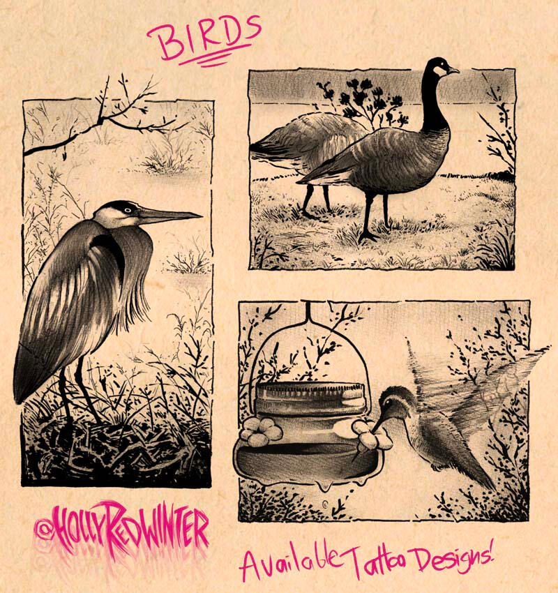 Wetland Birds