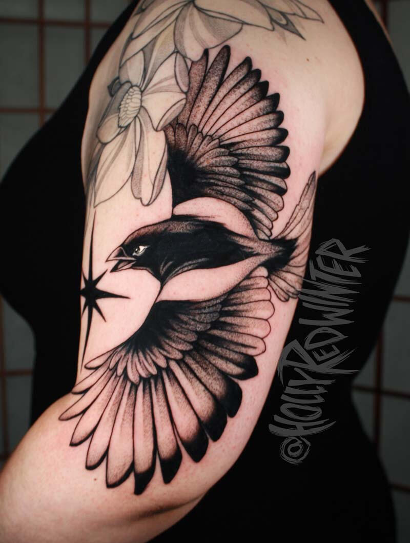 Black Billed Magpie